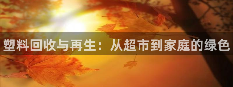太阳成集团tyc33455cc：塑料回收与再生：从超市到家庭