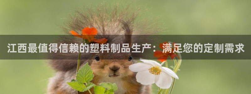 太阳成集团app：江西最值得信赖的塑料制品生产：满足您的定制