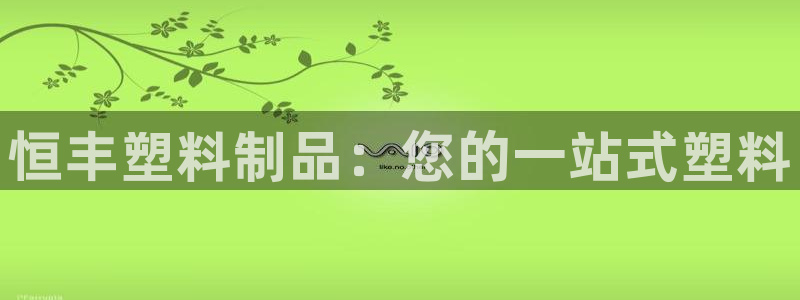 太阳成集团老板：恒丰塑料制品：您的一站式塑料