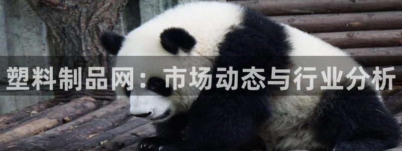 太阳集团城安卓版游戏：塑料制品网：市场动态与行业分析