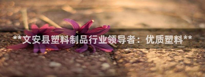 122cc太阳集成游戏官方网站版：**文安县塑料制品行业领导