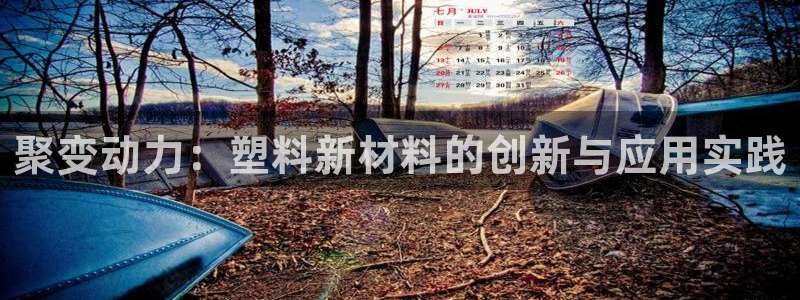 澳门太阳集团老板洗米华：聚变动力：塑料新材料的创新与应用实践