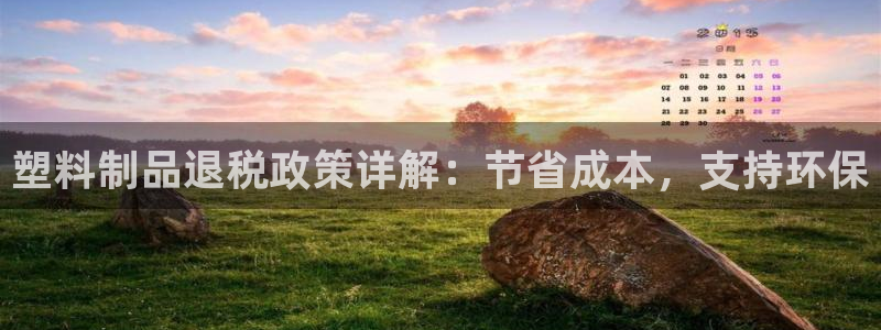 太阳集团城官方app下载苹果：塑料制品退税政策详解：节省成本