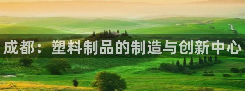 太阳集团电子游戏大全：成都：塑料制品的制造与创新中心