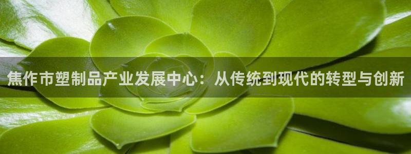 太阳手机游戏：焦作市塑制品产业发展中心：从传统到现代的转型与