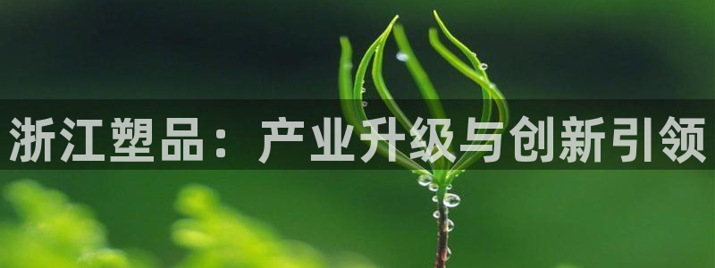 太阳集团下载链接怎么下载：浙江塑品：产业升级与创新引领