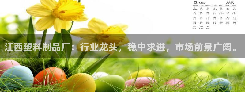 太阳成集团tyc122ccvlp：江西塑料制品厂：行业龙头，