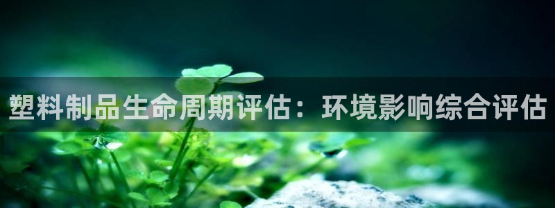 太阳阳城集团有限公司：塑料制品生命周期评估：环境影响综合评估