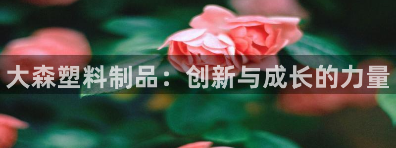 太阳集团地址：大森塑料制品：创新与成长的力量