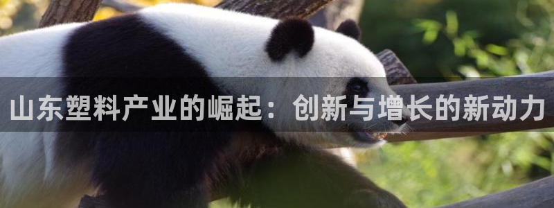 太阳集团城2017：山东塑料产业的崛起：创新与增长的新动力