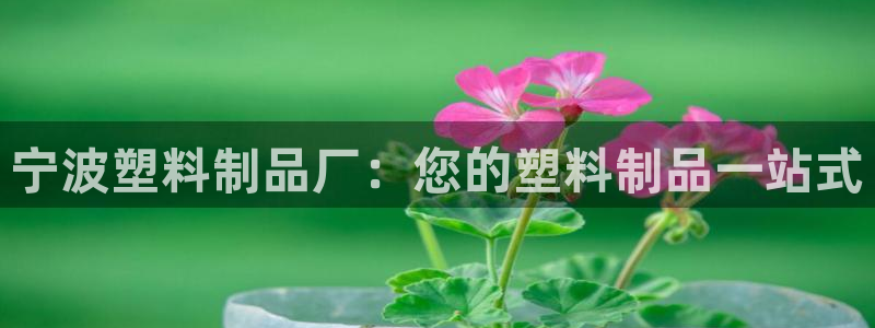 太阳2平台app下载：宁波塑料制品厂：您的塑料制品一站式