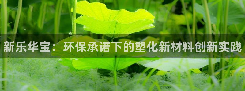 澳门太阳游戏城：新乐华宝：环保承诺下的塑化新材料创新实践