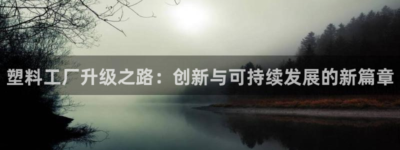 太阳游戏汉化：塑料工厂升级之路：创新与可持续发展的新篇章