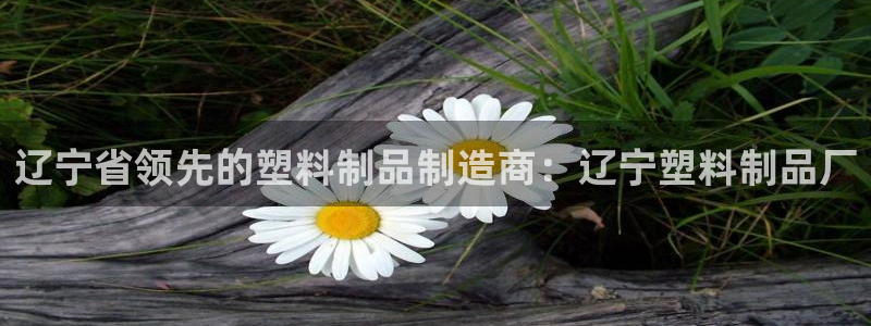 太阳集团2018网址：辽宁省领先的塑料制品制造商：辽宁塑料制