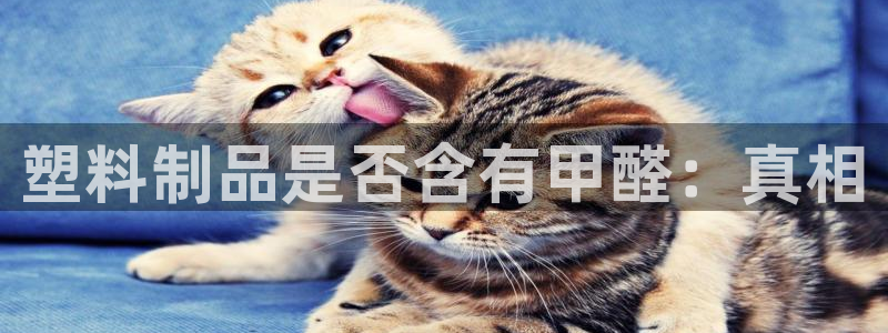 太阳神电子游戏平台：塑料制品是否含有甲醛：真相