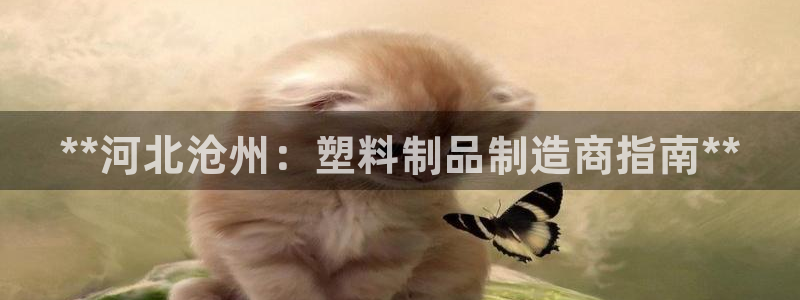 太阳 官网：**河北沧州：塑料制品制造商指南**