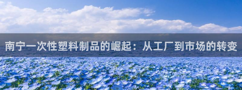 太阳集团游戏软件：南宁一次性塑料制品的崛起：从工厂到市场的转