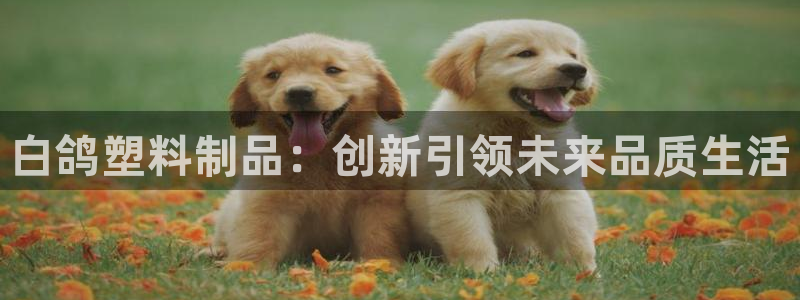 太阳集团股份有限公司官网：白鸽塑料制品：创新引领未来品质生活