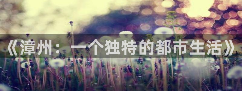 太阳老板身价：《漳州：一个独特的都市生活》