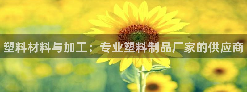 太阳集团电子游戏老板：塑料材料与加工：专业塑料制品厂家的供应