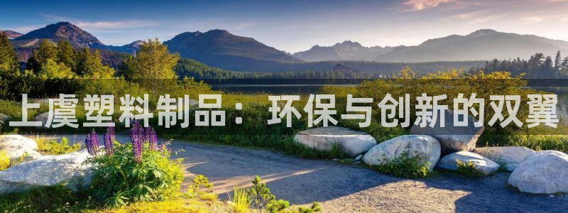 太阳集团app：上虞塑料制品：环保与创新的双翼