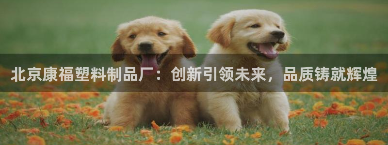 冷太阳什么意思：北京康福塑料制品厂：创新引领未来，品质铸就辉