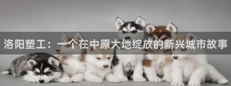 太阳gg娱选_2o5o26：洛阳塑工：一个在中原大地绽放的新