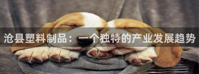 古天乐和太阳集团什么关系：沧县塑料制品：一个独特的产业发展趋