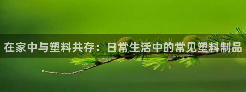 122cc太阳集成游戏官方网站：在家中与塑料共存：日常生活中