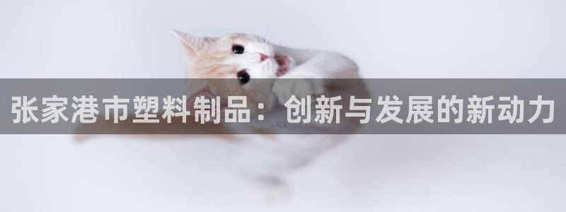 太阳集团城welcome：张家港市塑料制品：创新与发展的新动