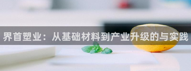 太阳集团娱乐官方网站：界首塑业：从基础材料到产业升级的与实践