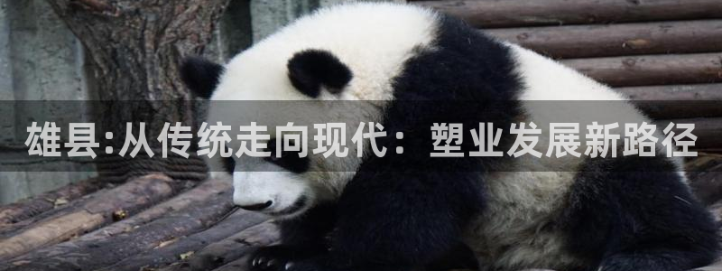 太阳成集团tyc7111cc电影：雄县:从传统走向现代：塑业