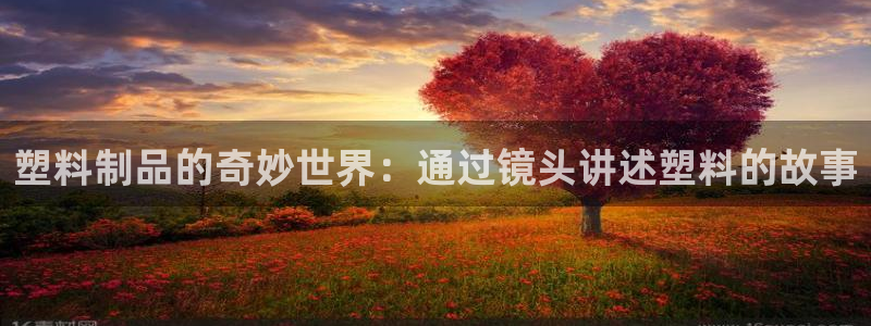 太阳集团城注册就送38welcome：塑料制品的奇妙世界：通