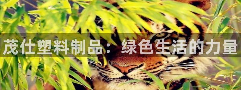 太阳成集团网站取款：茂仕塑料制品：绿色生活的力量