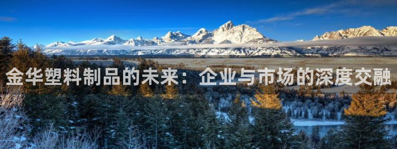 太阳集团app十佳平台怎么样：金华塑料制品的未来：企业与市场