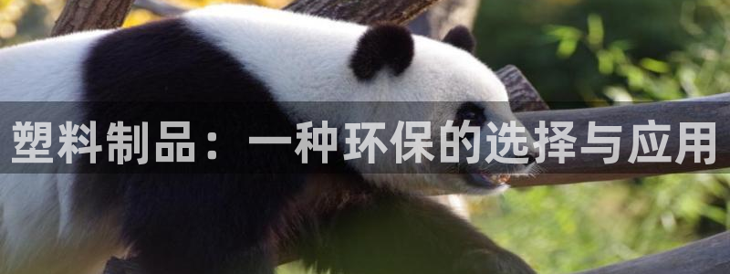 太阳成集团tyc234cc主页网站：塑料制品：一种环保的选择