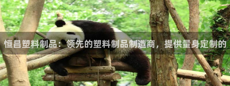 太阳阳城集团太阳卡：恒昌塑料制品：领先的塑料制品制造商，提供