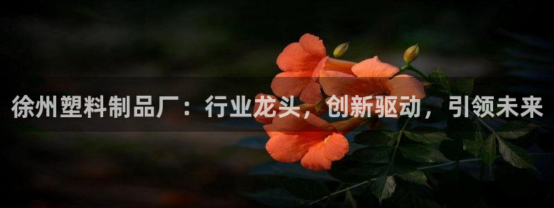 太阳集团怎么样：徐州塑料制品厂：行业龙头，创新驱动，引领未来