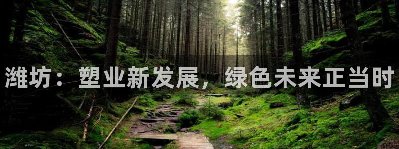 太阳集团app十佳平台怎么样：潍坊：塑业新发展，绿色未来正当